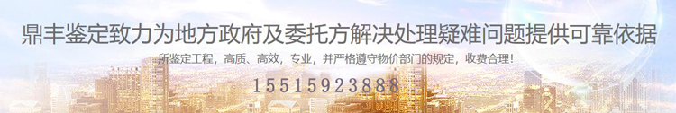 河南鼎丰房屋安全鉴定有限公司