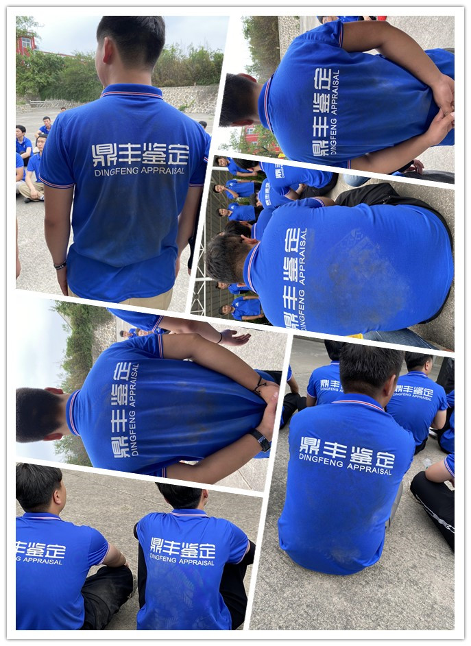 河南鼎丰房屋安全鉴定有限公司