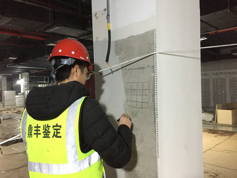 新奥门2024资料免费